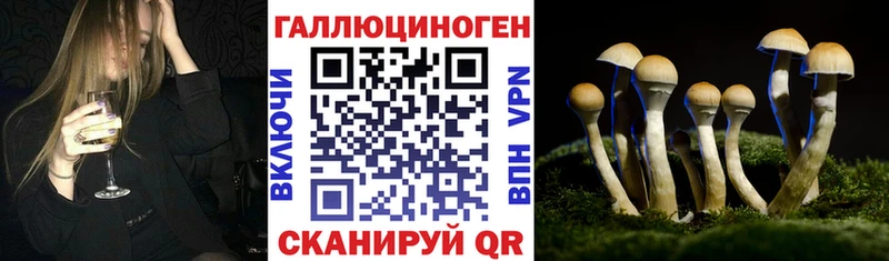 Купить  Шилка  Галлюциногенные грибы Magic Shrooms 